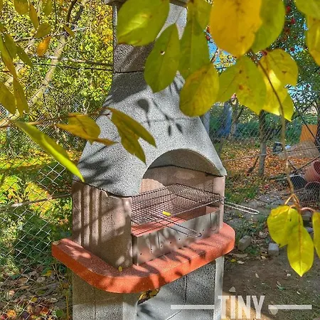 Tiny