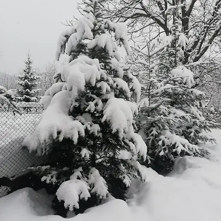 Tiny Σπίτι διακοπών Μπρασόβ