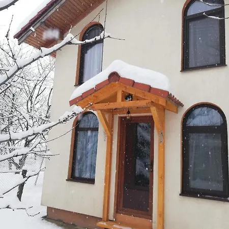 Tiny * Brasov