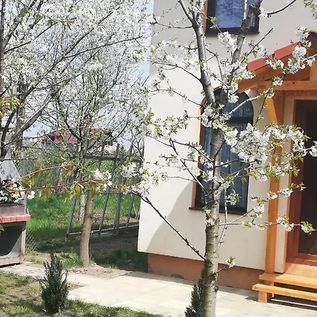 Tiny Brasov