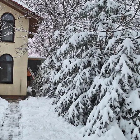 Tiny Holiday home *