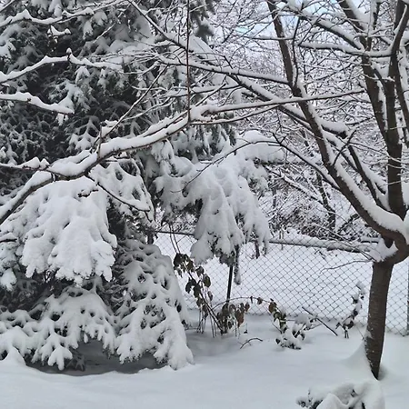 Σπίτι διακοπών Tiny Μπρασόβ