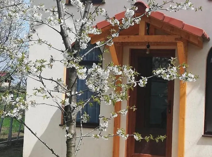 Hébergement de vacances Tiny Braşov