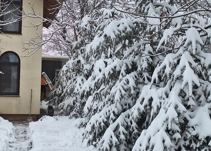 Tiny בית נופש *