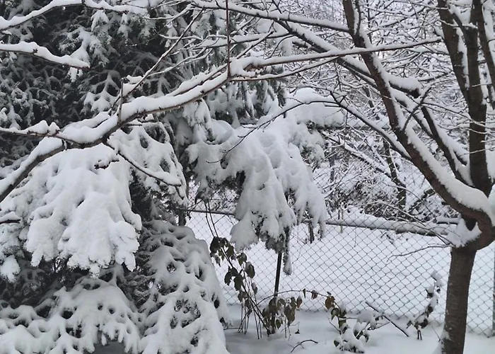 בית נופש Tiny בראשוב